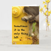 Sorry, dat is klote kaart (Gele Bloem)