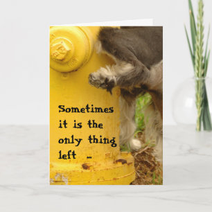 Sorry, dat is klote kaart