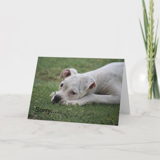 Sorry dat je je niet zo goed voelt. kaart (Voorkant)