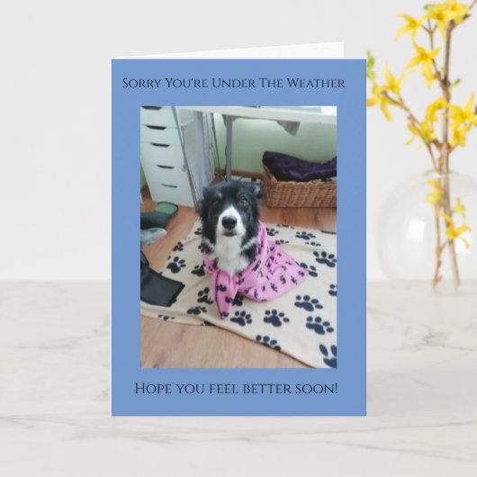 Sorry dat je onder de weerkwaliteit Collie Kaart b (Gele Bloem)