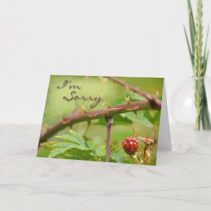 Sorry dat je snel bent kaart