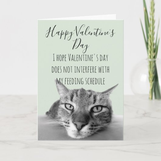 Sorry dat je ziek bent Beterschap van kattenhumor Kaart (Voorkant)