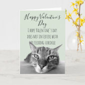 Sorry dat je ziek bent Beterschap van kattenhumor Kaart (Gele Bloem)
