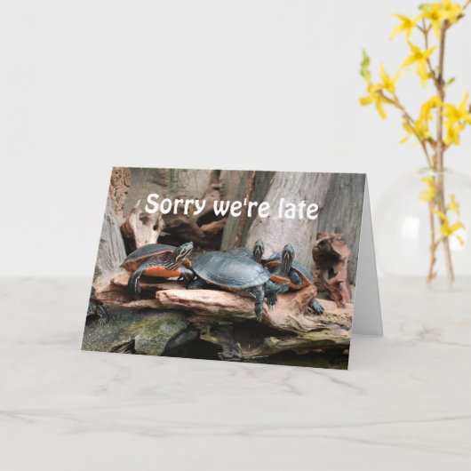 Sorry dat we laat zijn Turtles verjaardag wenskaar Kaart (Gele Bloem)