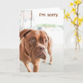 Sorry, excuuskaartje met schuldige hond kaart (Gele Bloem)