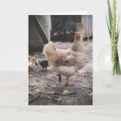 Sorry for being such a chook kaart (Voorkant)