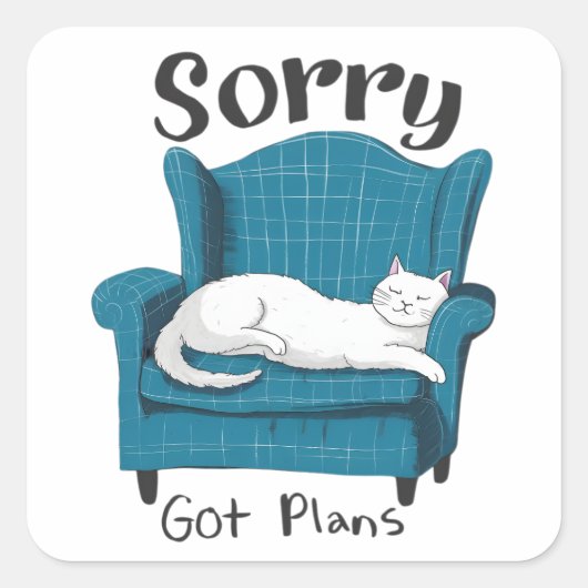 Sorry, heb plannen Fun Cat Lover Cadeau Vierkante Sticker (Voorkant)