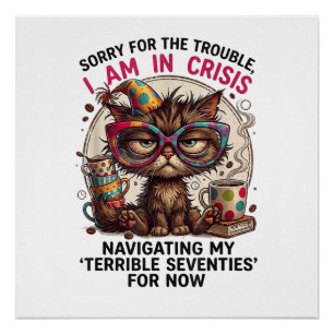 Sorry ik ben in crisis Grappige 70ste verjaardag q Perfect Poster