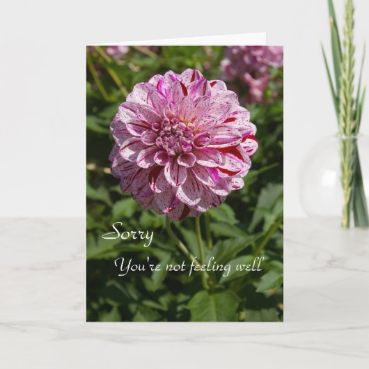 Sorry, je voelt je niet goed kaart (Voorkant)