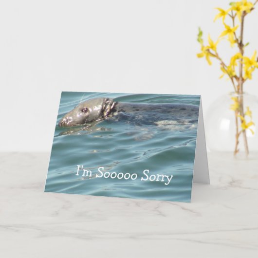 Sorry Kaart (Gele Bloem)