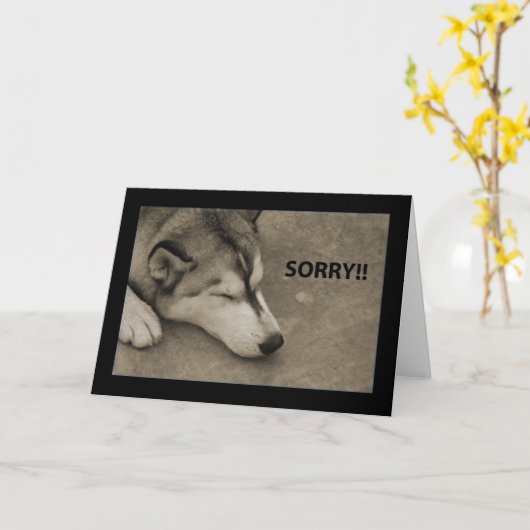 Sorry! Kaart (Gele Bloem)