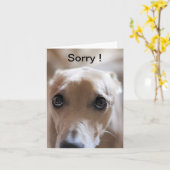 Sorry! Kaart (Gele Bloem)