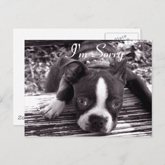 Sorry kaart (Voorkant / Achterkant)