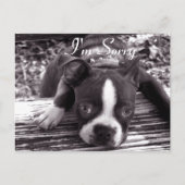 Sorry kaart (Voorkant)