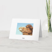 Sorry - Kaart (Achterkant)