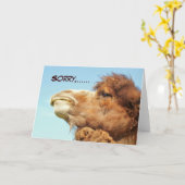 Sorry - Kaart (Gele Bloem)