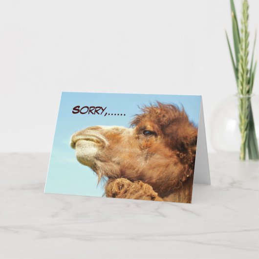 Sorry - Kaart (Voorkant)