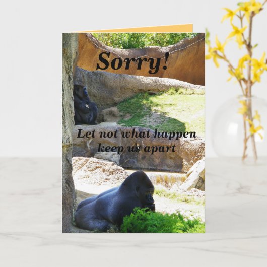 Sorry!_Kaart Kaart (Gele Bloem)