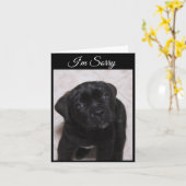 Sorry Kaart, Mastiff Puppy Kaart (Gele Bloem)