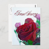 Sorry kaart met een klassieke rode roos (Voorkant / Achterkant)