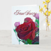 Sorry kaart met een rode roos (Gele Bloem)