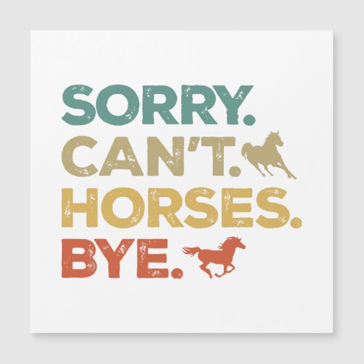 Sorry Kan Paard Dag (Voorkant)