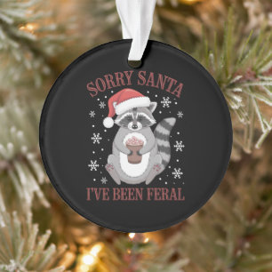 Sorry kerstman, ik ben een wilde kerstwasbeer gewe ornament