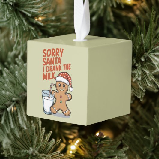 Sorry kerstman, ik heb de Milk Baby kerstoutfit Dr Decoratie (Boom)