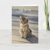 Sorry Knuffel Kitten Kat Kaart (Voorkant)
