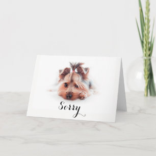 Sorry Love Yorkies (5 inch x 7 inch), white envelo Kaart