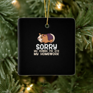 Sorry, mijn cavia at mijn huiswerk op Schattige Keramisch Ornament