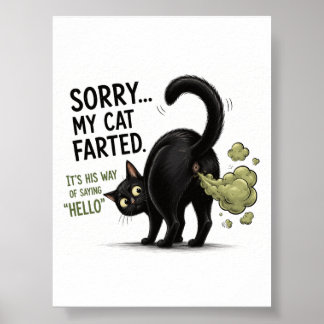 Sorry Mijn Kat Scheet Grappige Zwarte Kat Humor Poster