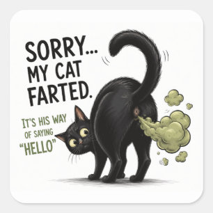Sorry Mijn Kat Scheet Grappige Zwarte Kat Humor Vierkante Sticker