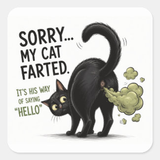 Sorry Mijn Kat Scheet Grappige Zwarte Kat Humor Vierkante Sticker