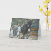 Sorry muilezels-aanpassen kaart (Gele Bloem)