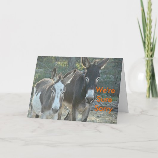 Sorry muilezels-aanpassen kaart (Voorkant)