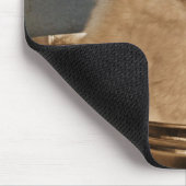 Sorry... Muismat (Hoek)