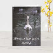 Sorry of de optie Selecteren Card Kaart (Gele Bloem)