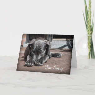 Sorry puppy Wenskaart Kaart