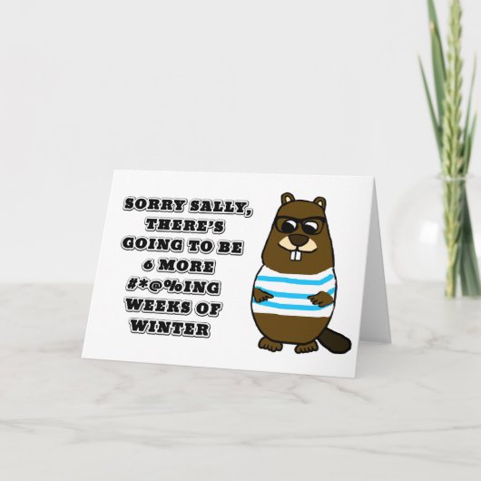 Sorry Sally, nog 6 #*@%ing weken winter Kaart (Voorkant)