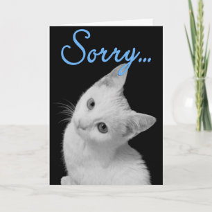 Sorry Schattig Turks Van Katje Zwart & Wit Foto Kaart