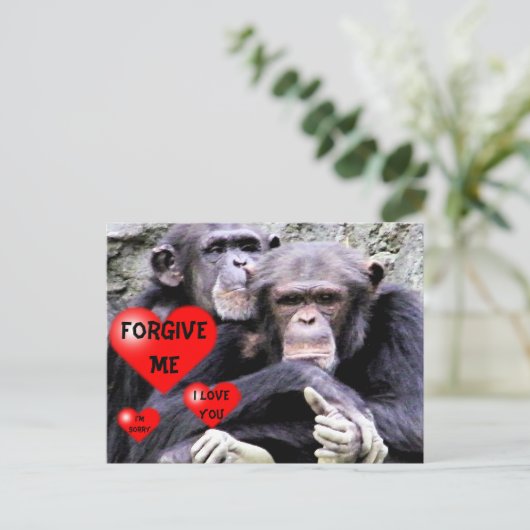 Sorry, sorry briefkaart (Staand voorkant)