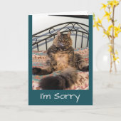 Sorry te Schattige om Kimber Cat niet te vergeven Kaart (Gele Bloem)
