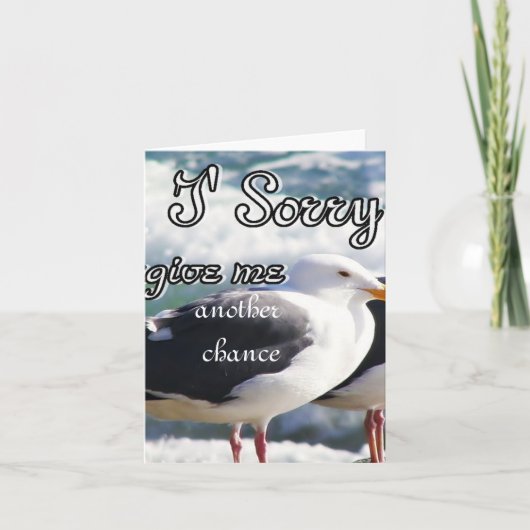 Sorry, vergeef me_ kaart (Voorkant)