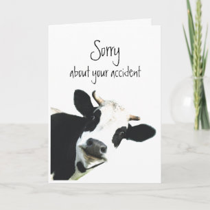 Sorry voor Accident Flowers Fun Koe Holstein Kaart