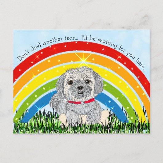 Sorry voor je loops, Dog Memorial Feestdagenkaart (Voorkant)