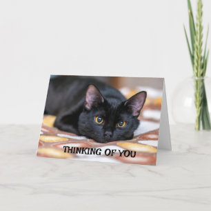 *SORRY VOOR JE VERLIES* KAART