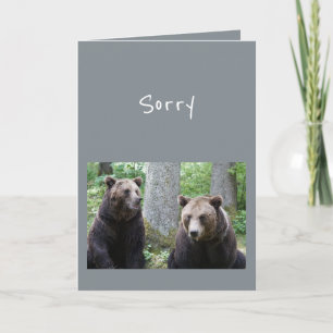 Sorry voor wat je zei Beer Dieren Humor Kaart