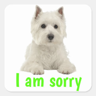 Sorry West Highland Terrier Puppy Dog Vierkante Sticker