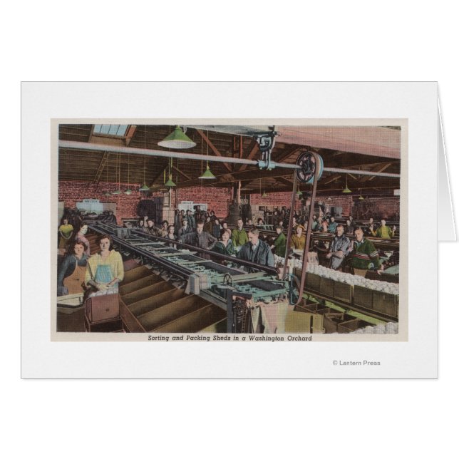 Sorteer- en verpakkingsfabriek en werknemers (inte (Voorkant Horizontaal)